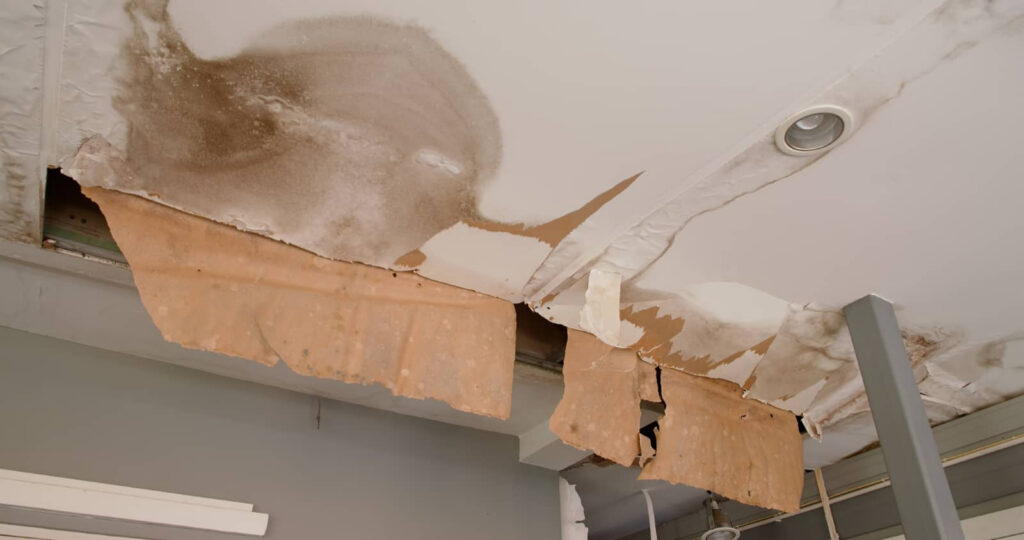 Water-damaged ceiling with peeling drywall and mold stains.
