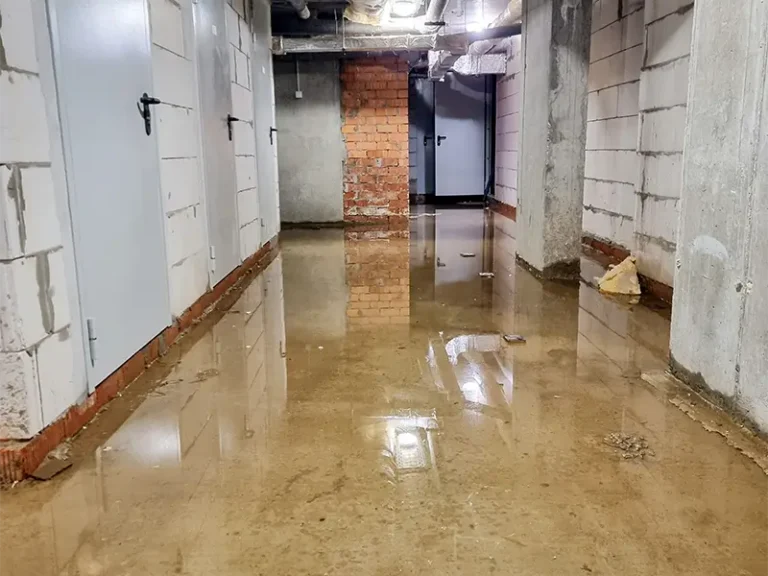 Flooded basement hallway with water covering the floor and multiple closed doors.