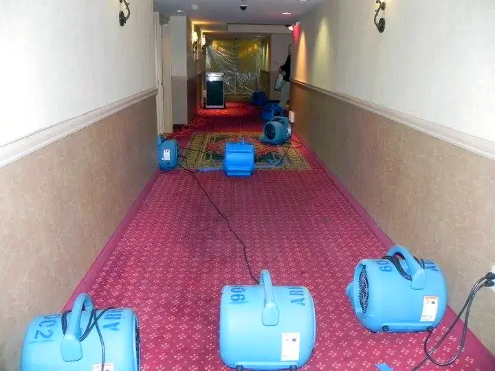 Blue air movers and fans arranged in a hallway with a red carpet and plastic sheeting at the far end.