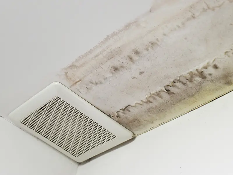 Ceiling vent next to a large water stain and mold damage on the ceiling.