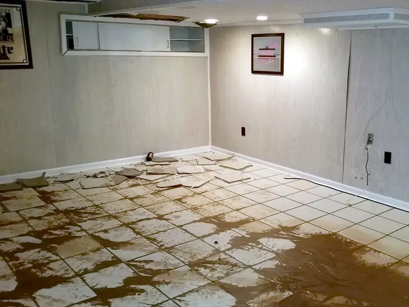 Basement room with damaged ceiling and muddy, broken tile floor.